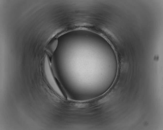 X0000092211305200709281014