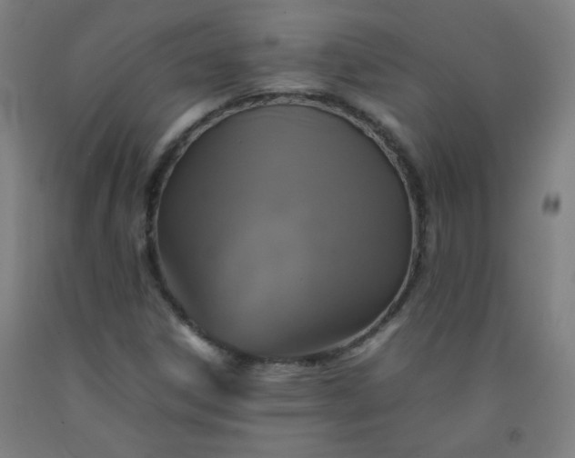 X0000092211306200709281014