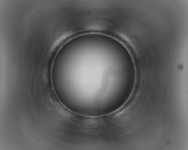 X0000092211307200709281014