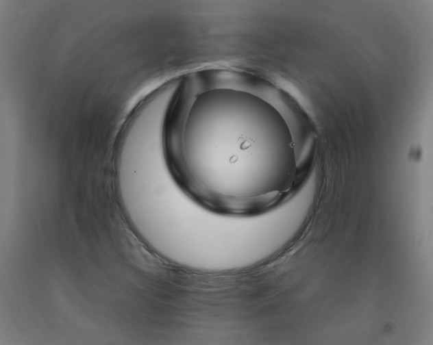 X0000092211308200709281014