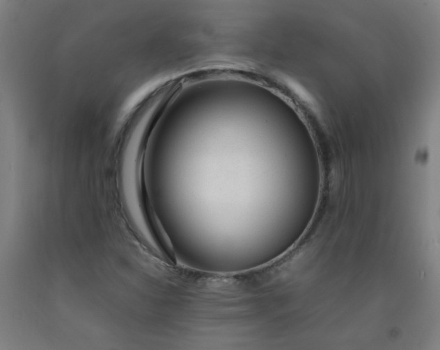 X0000092211310200709281014