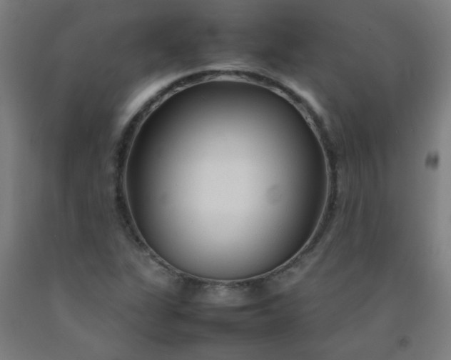 X0000092211311200709281014