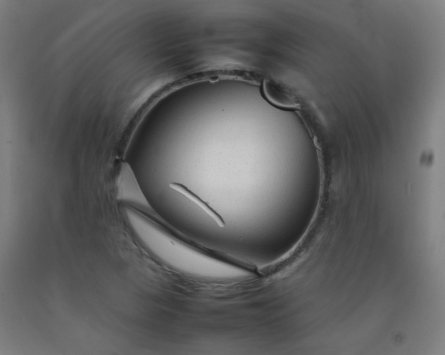 X0000092211313200709281014