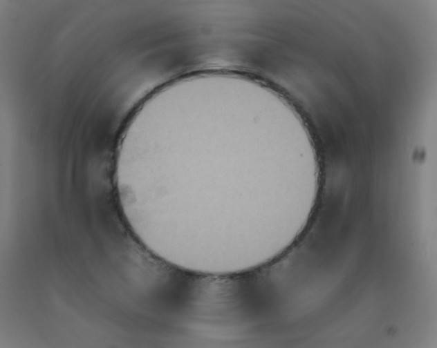 X0000092211314200709281014