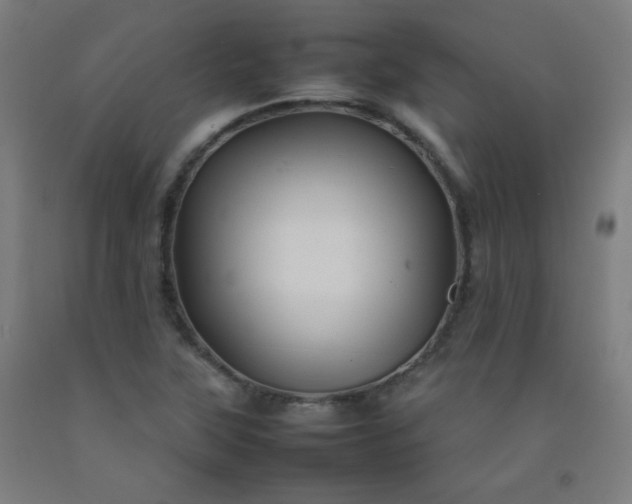 X0000092211315200709281014