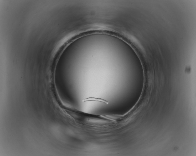 X0000092211318200709281014