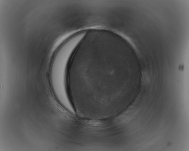 X0000092211319200709281014