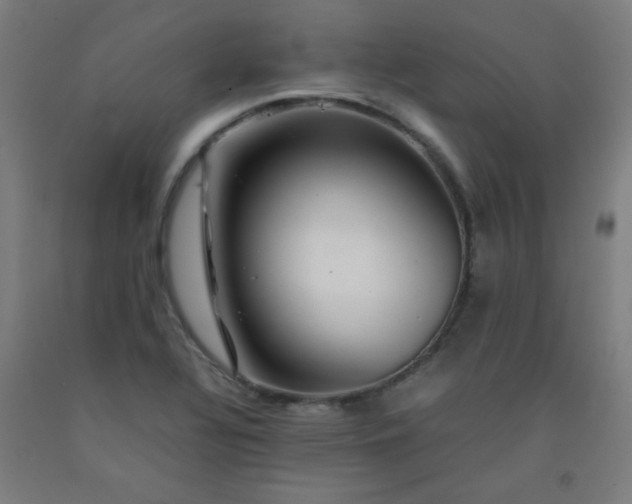 X0000092211320200709281014