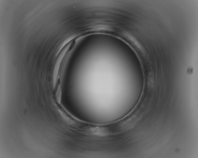 X0000092211321200709281014