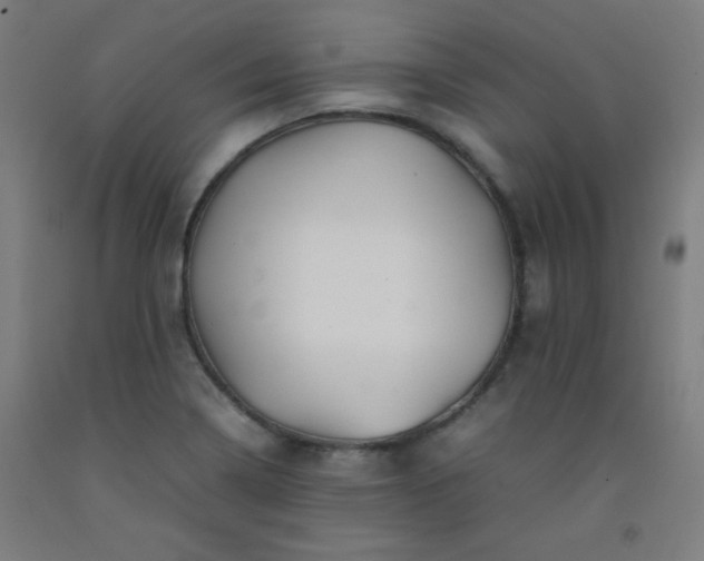 X0000092211322200709281014