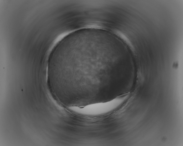 X0000092211323200709281015