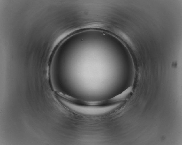 X0000092211324200709281015