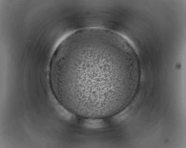 X0000092211325200709281015