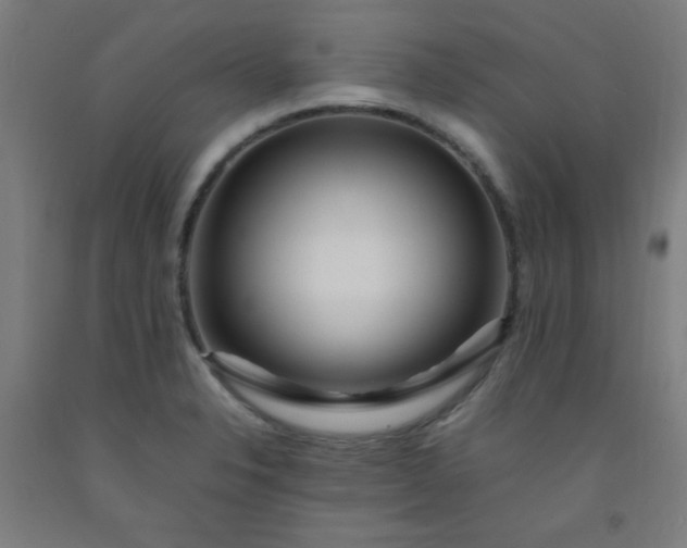 X0000092211326200709281015