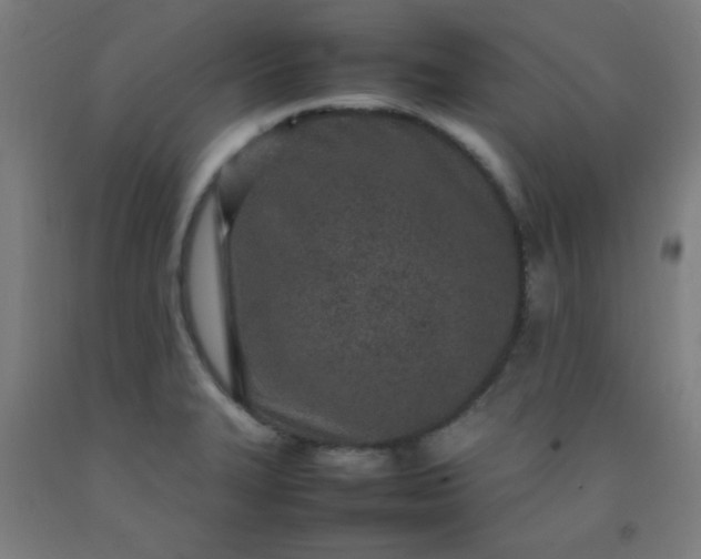 X0000092211327200709281015