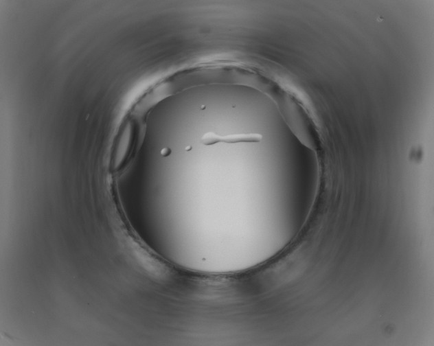 X0000092211328200709281015