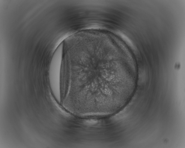 X0000092211329200709281015