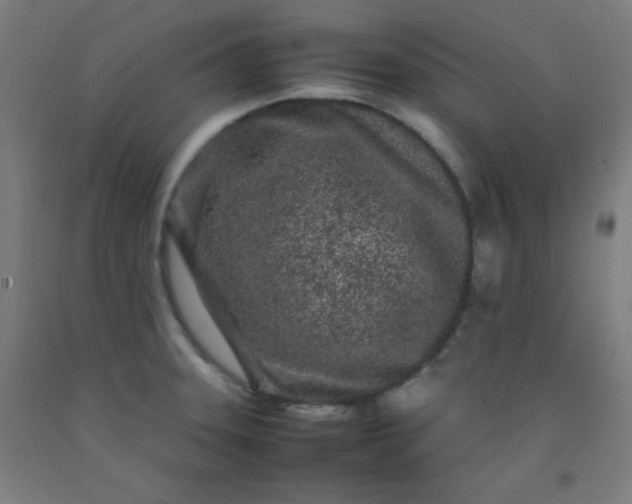 X0000092211331200709281015