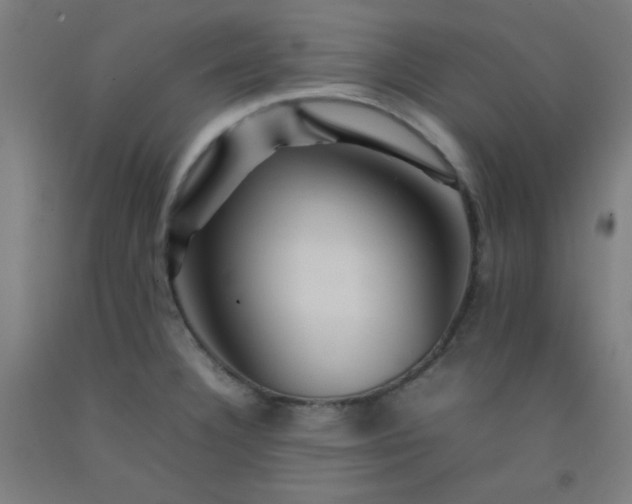 X0000092211332200709281015