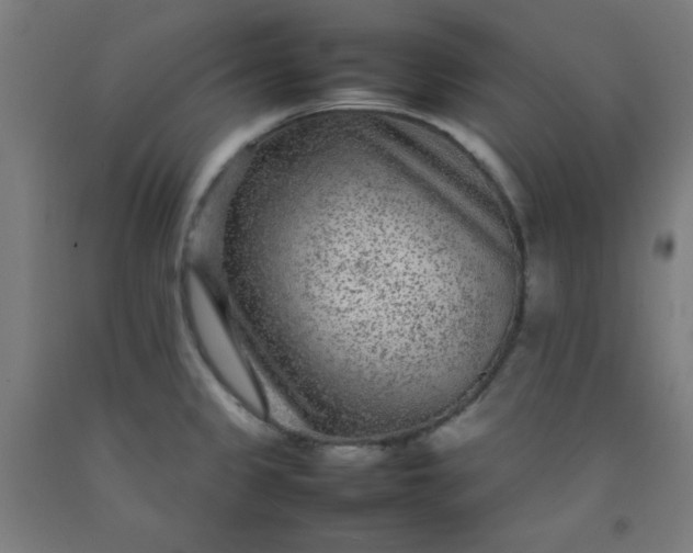 X0000092211333200709281015