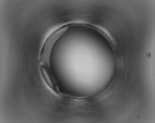 X0000092211335200709281015