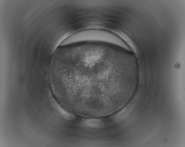 X0000092211337200709281015