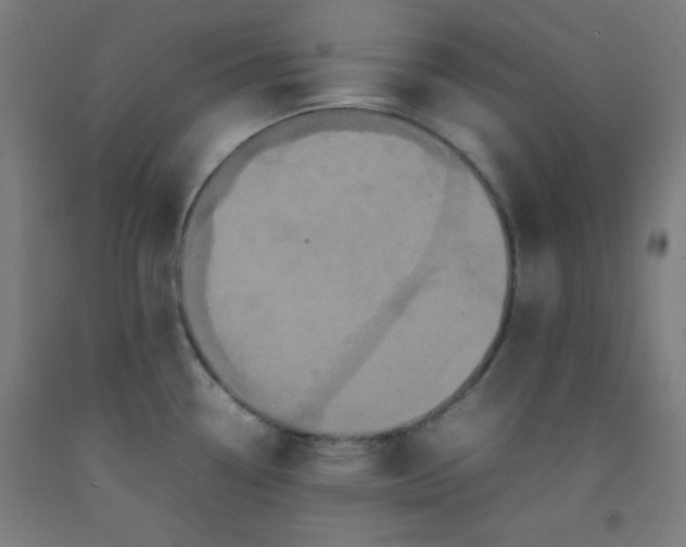 X0000092211338200709281015