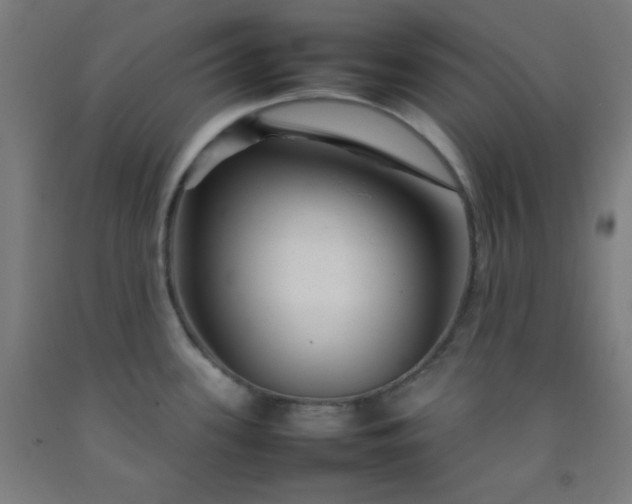 X0000092211339200709281015