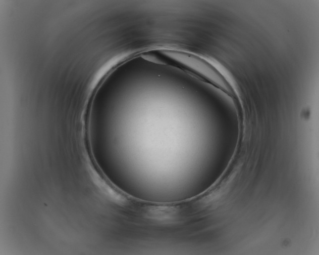 X0000092211341200709281015