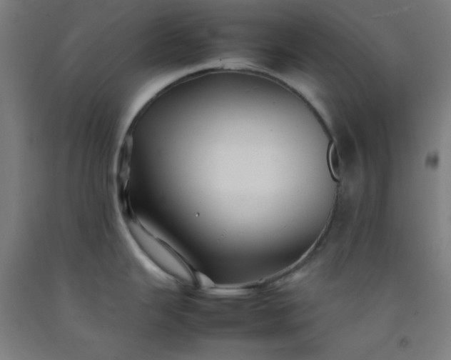 X0000092211343200709281015