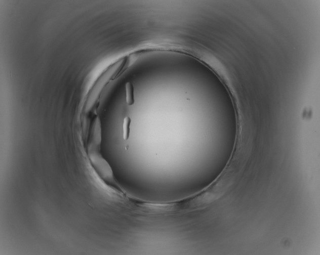 X0000092211344200709281015