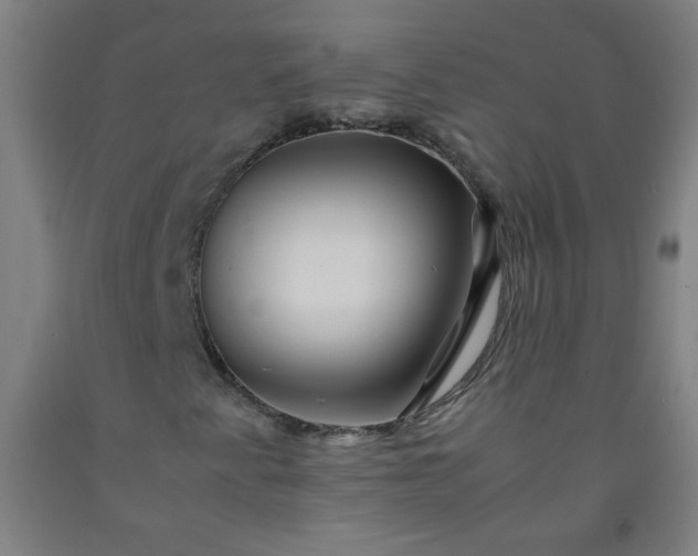 X0000092211345200709281014