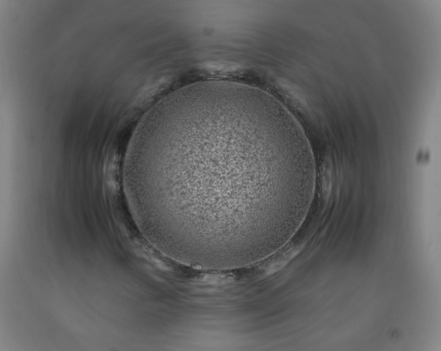 X0000092211346200709281014