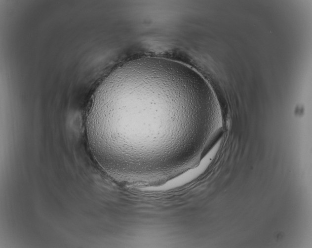 X0000092211347200709281014