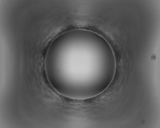 X0000092211349200709281014