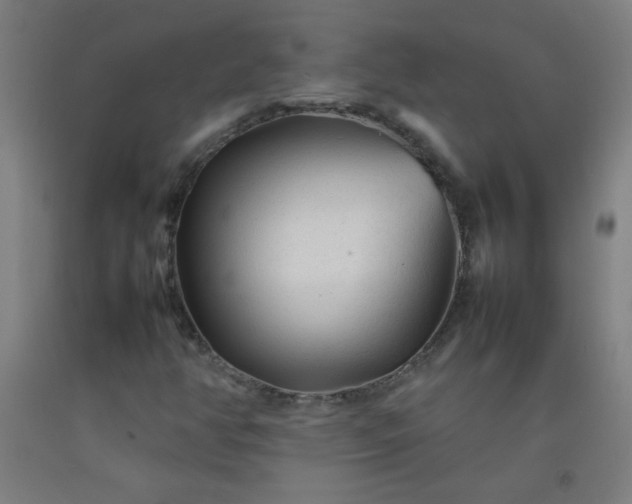 X0000092211350200709281014