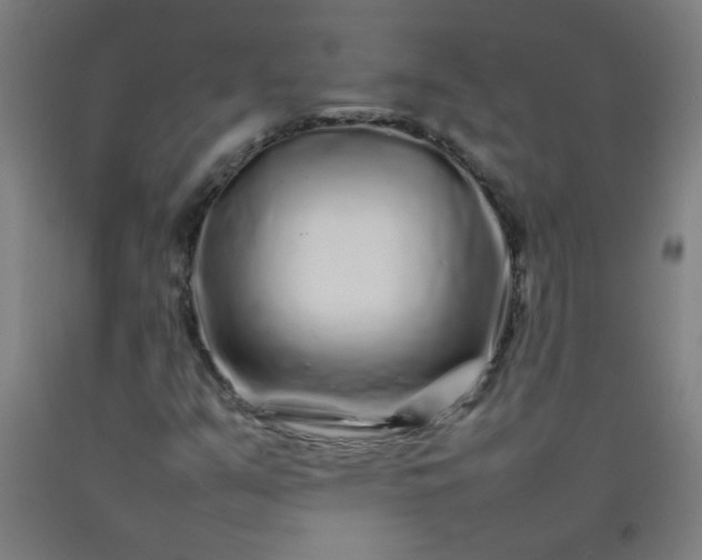 X0000092211351200709281014