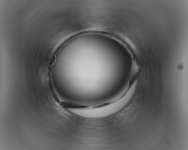 X0000092211356200709281014