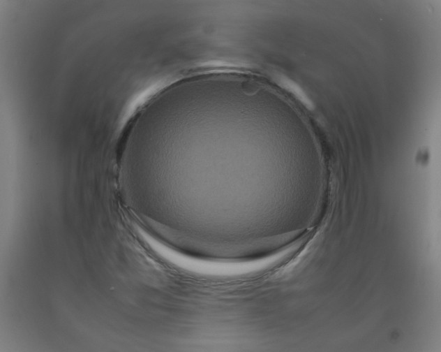 X0000092211357200709281014