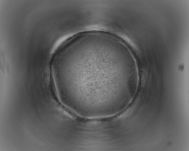 X0000092211358200709281014