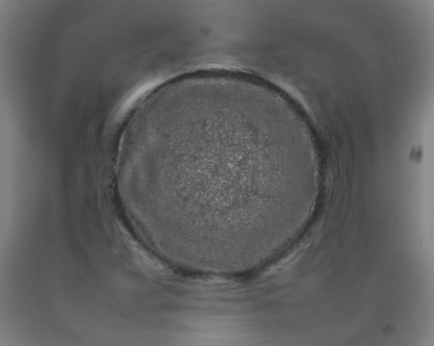 X0000092211359200709281014