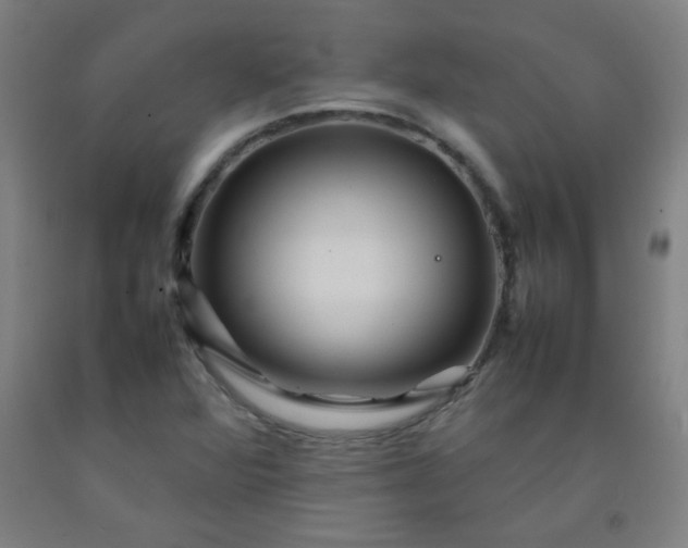 X0000092211360200709281014