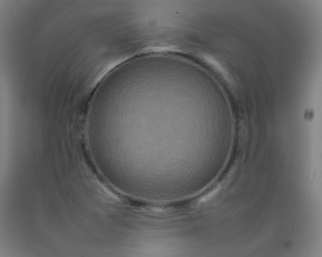 X0000092211361200709281014