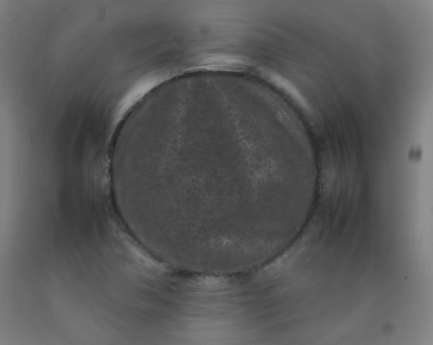 X0000092211362200709281014