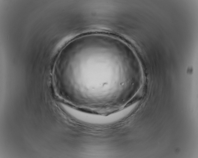 X0000092211363200709281014