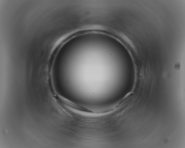 X0000092211364200709281014