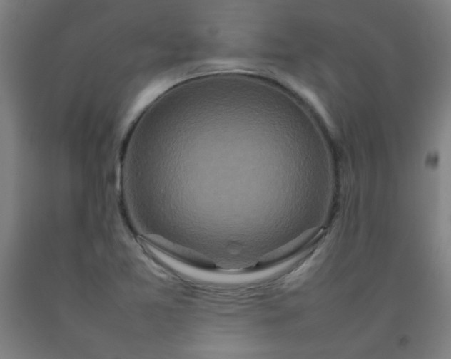 X0000092211365200709281014