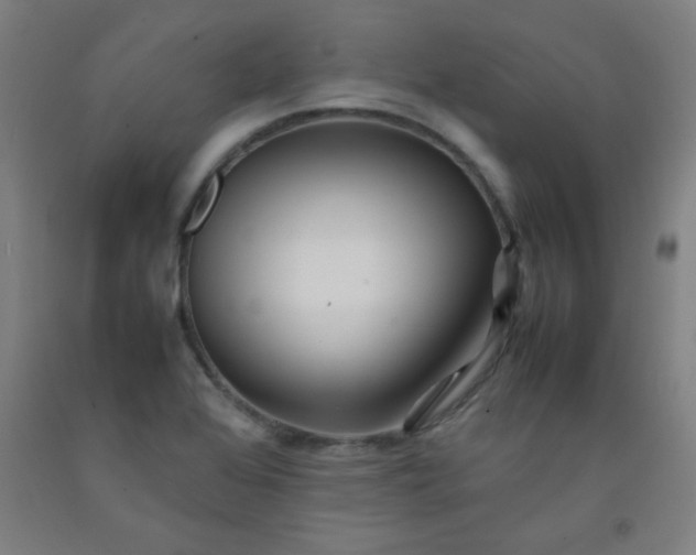 X0000092211368200709281014