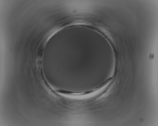 X0000092211369200709281014