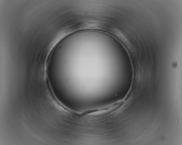 X0000092211370200709281014